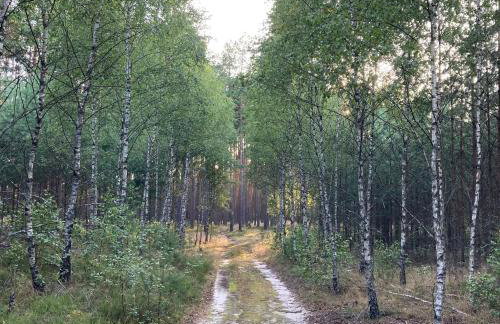 Letnia Oficyna - Foto 32