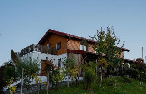 Ruralna kuća za odmor KOVIN BREG - Foto 1