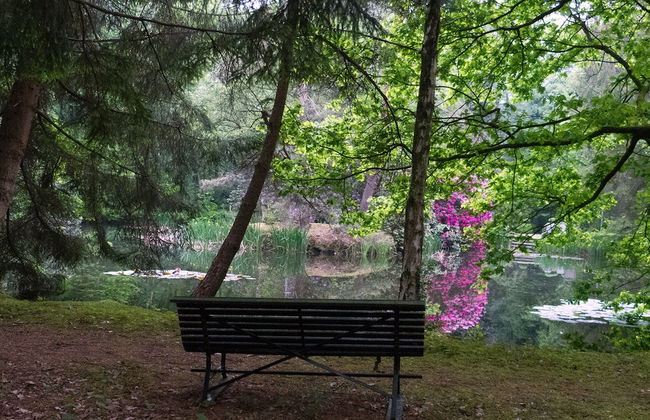 Delightful Chalet in Opglabbeek near Lake - Foto 24