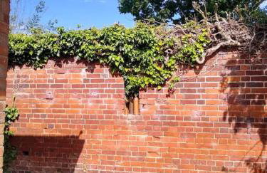 The Walled Garden - Foto 31