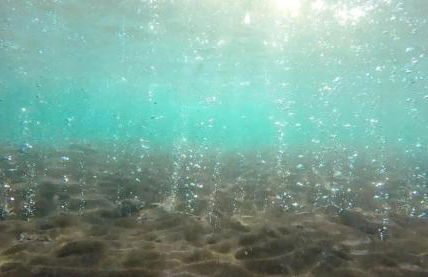 Garden & Sea - Foto 51