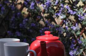 Loveview - A Painswick Stone Haven - Foto 25