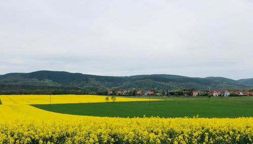 Ferienwohnungen Landliebe "Auszeit mit Wohlgefühl" - Foto 4