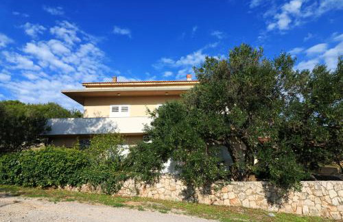 Apartmani Sladić - Photo 40