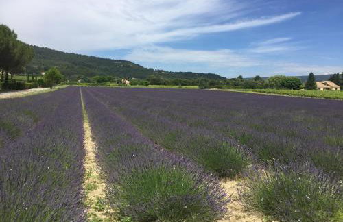 lagalerie84 - Foto 53