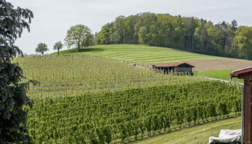 Ferienwohnung Lang - Photo 2