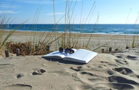 Lodge Montagnac - Foto 27