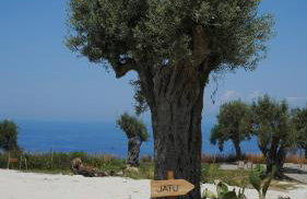 JATU Retreat - Photo 39