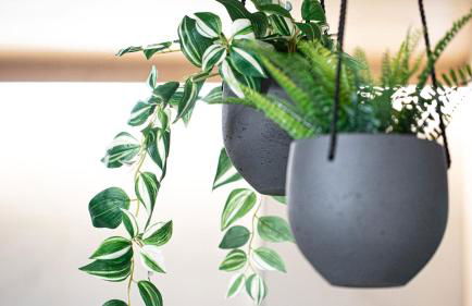 RAVN HAÜS - Oregon's Premier Alpine Retreat - Foto 29