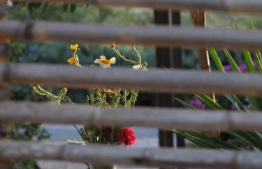 Quinta da Fornalha - Santuario Agroecologico - Foto 32