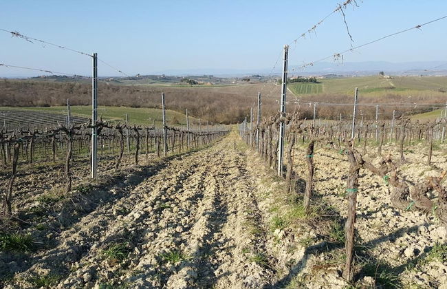 Agriturismo Podere Casa al Vento - Photo 41