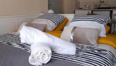 Superbe comfortable studio CHU et Université - Foto 5