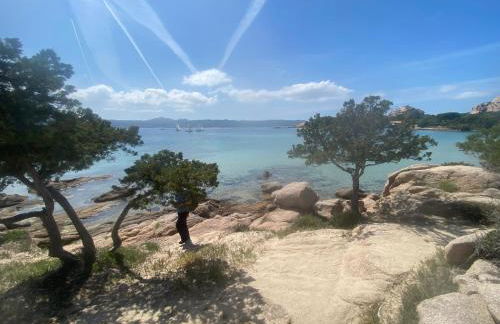 Casa Stella Residence Ea Bianca Baja Sardinia - Foto 50