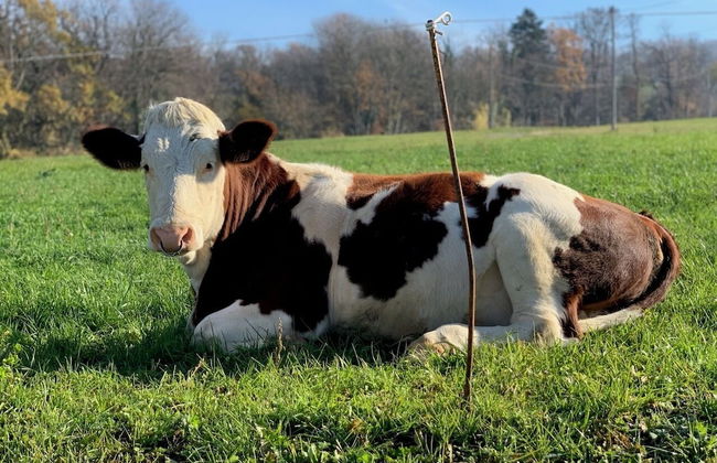 La Grange de Capucine, gite de caractère - Foto 65