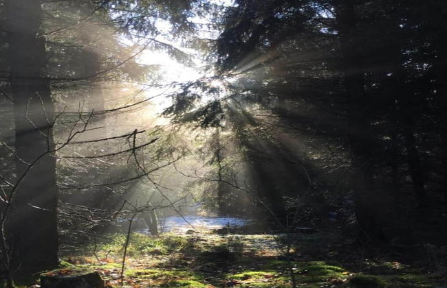 Hill-view Holiday Home in Dankerode Near Lake and Hiking - Foto 67