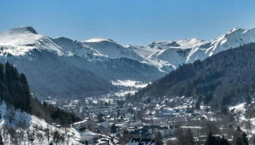 Grand studio 36m² au Mont-Dore, au pied des pistes, 4 couchages - FR-1-415-207 - Foto 3