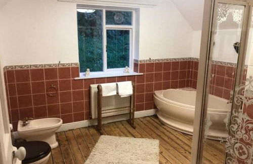 Historic 17th century farmhouse in Wales - Foto 16