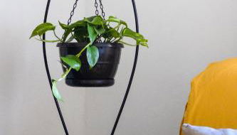 Fonte da Rosa Guest House APT2 - Foto 3