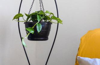 Fonte da Rosa Guest House APT2 - Foto 3