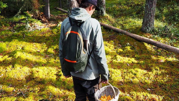 Mushroom Hunting Tour - Photo 5