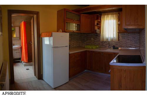 Medusa Gorgon - Photo 23