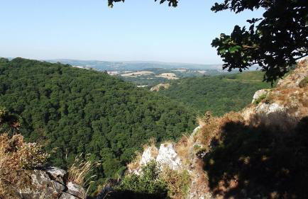 WebberHillFarmCottages - Foto 23