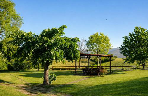 Agriturismo il Pino - Bioagricoltura - Foto 17