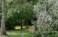 Ferienwohnung Landidylle - Foto 3