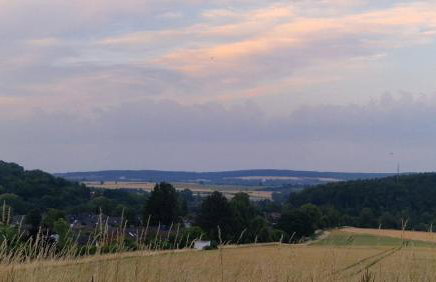 Gemütliche 1-Zimmer-Wohnung im Hildesheimer Wald - Foto 13