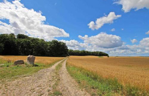 Alter Stall - Photo 8