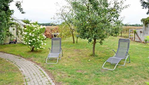 Ferienhaus Falkenhagen mit Garten - Photo 5