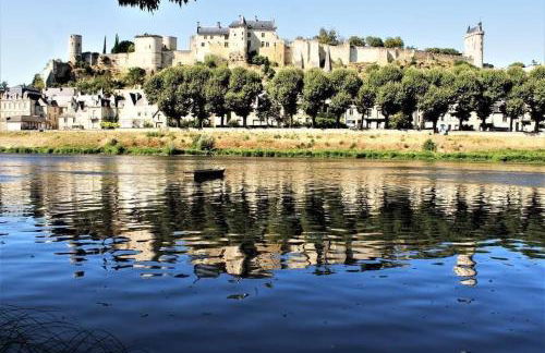 AU COEUR De LA CITE MÉDIÉVALE - Foto 15