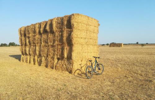 Monte Quinta Verde - Foto 26