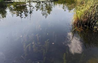 Modrzewiowy Zakątek z balią - Foto 31