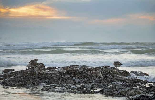 Van Riebeeck 12 - Foto 20