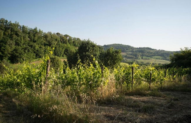 Tuscany Bliss: Garden Retreat - Foto 33