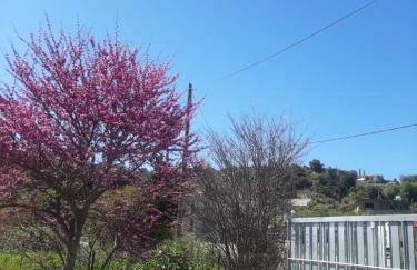 The mansion of Dionisos and Dimitras 6 - Foto 13