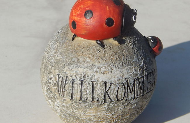 Agriturismo Girardelli - Foto 60