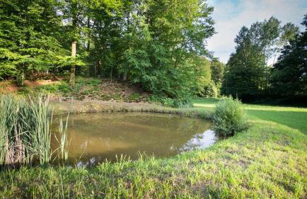 Apartman i sobe Pavek - Foto 5