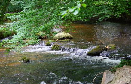 Les Chalets du Moulin de Valade - Foto 14