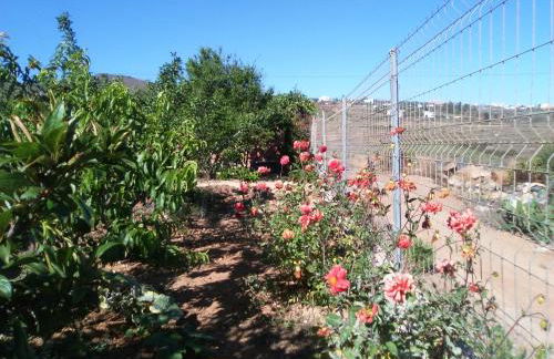 Casa de los abuelos - Foto 64