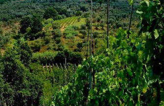 Villa Antico Borghetto Di Tigliano - Foto 46