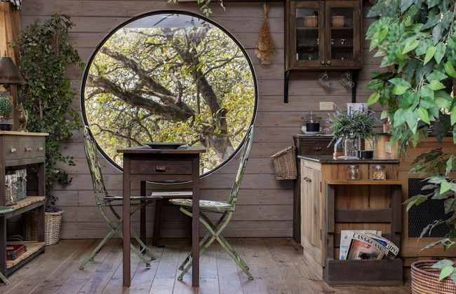 Quinta Pavo Real Complex by Acomodo - Photo 74