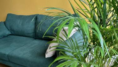 Appartement avec terrasse Salle de sport et 3 chambres - Foto 3