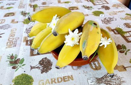 Torre Bella Gardens - Foto 44