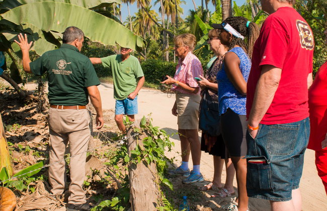 Tour de la fruta tropical - Foto 1