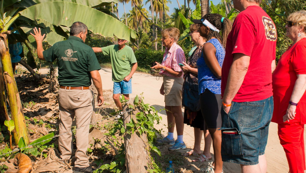 Tropical Fruit Tour - Photo 1, Tropical Fruit Tour