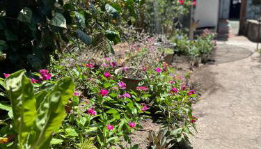 Casinha da vovó - Foto 5