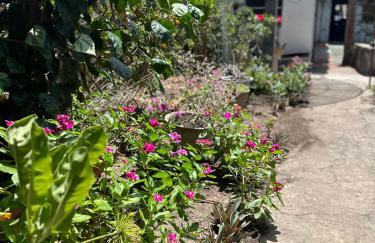 Casinha da vovó - Photo 5