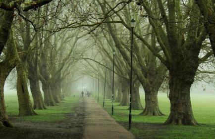 Old Station Apartments - Foto 60